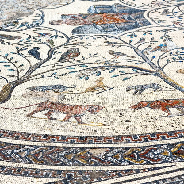 Eski Şehir Fas Taki Çatı Mozaiği Tarih Seyahati — Stok fotoğraf