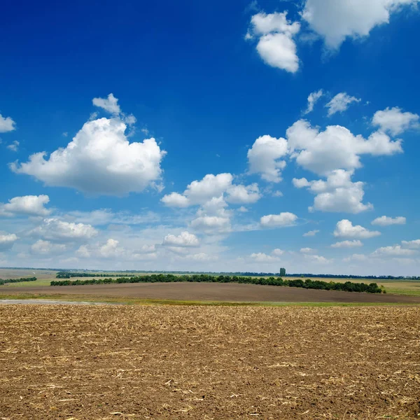 Svart Plogad Fältet Blå Himmel — Stockfoto