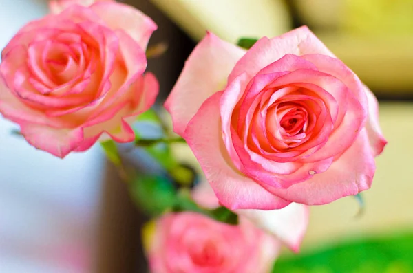 Розовый Цветок Розы Столе — стоковое фото