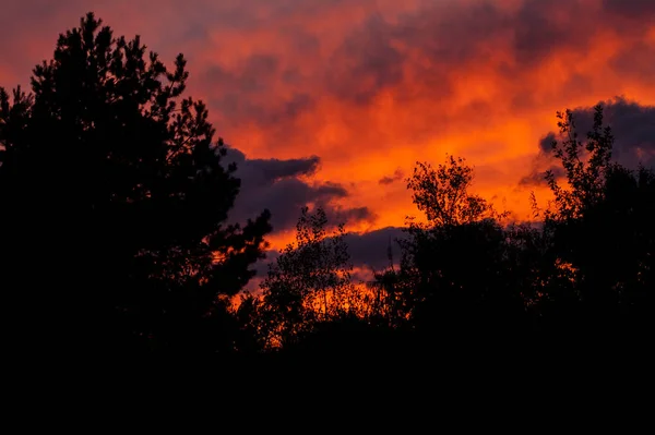 Czarny Las Piękny Zachód Słońca Chmury — Zdjęcie stockowe