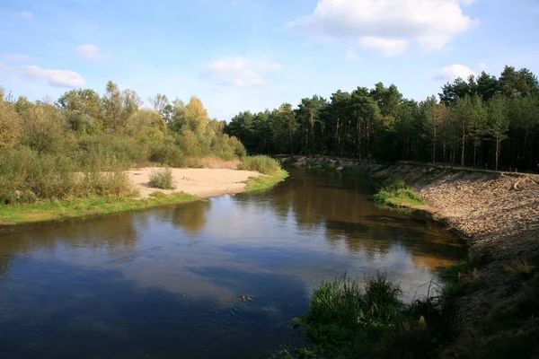 Řeky Meandr Lese Polské Krajinné Zobrazení — Stock fotografie