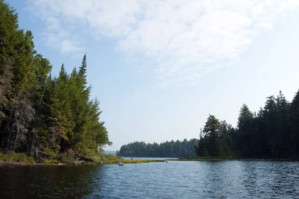 Lever Soleil Sur Lac Forestier Dans Parc Algonquin Lost Joe — Photo