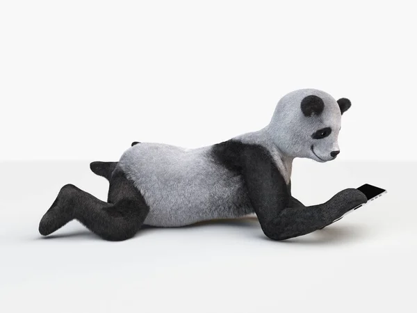 Personagem Panda Animal Estava Isolado Chão Estúdio Branco Com Tablet — Fotografia de Stock