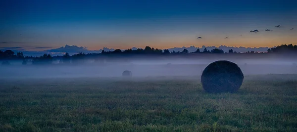 Lettonia Vidzeme Paesaggio Tramonto Con Nebbia Nebbia — Foto Stock