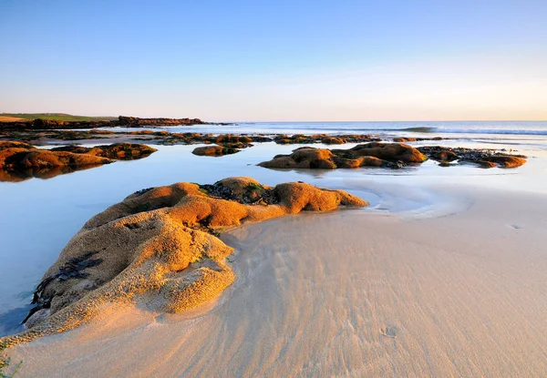 Primer Plano Playa Después Reflujo — Foto de Stock