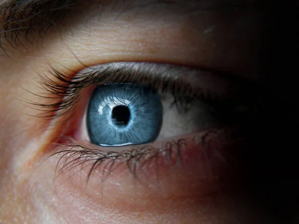 Красивый Голубой Мужской Глаз Фотографированный Крупный План — стоковое фото