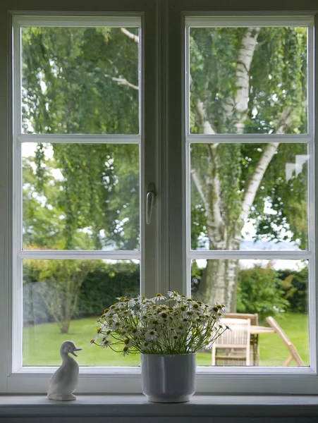 Bunga Putih Dalam Pot Bunga Jendela Musim Semi — Stok Foto
