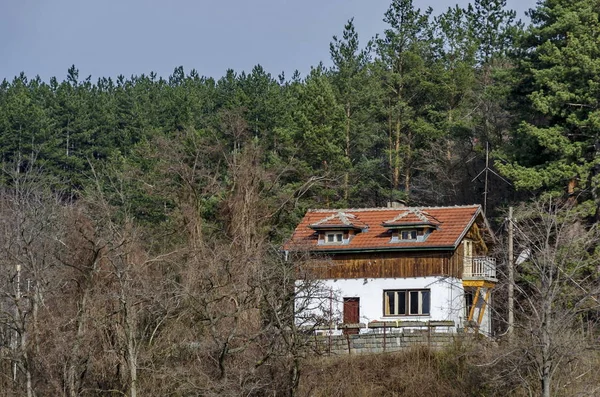 春天森林的房子 潘查列沃 保加利亚 — 图库照片