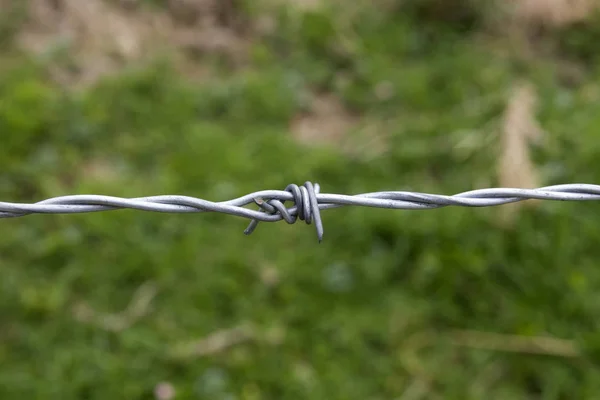 Singolo Spigolo Una Recinzione Filo Spinato Uno Sfondo Verde — Foto Stock