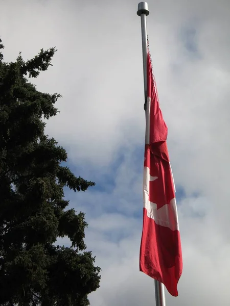 Bandera Canadá Símbolo Nacional —  Fotos de Stock
