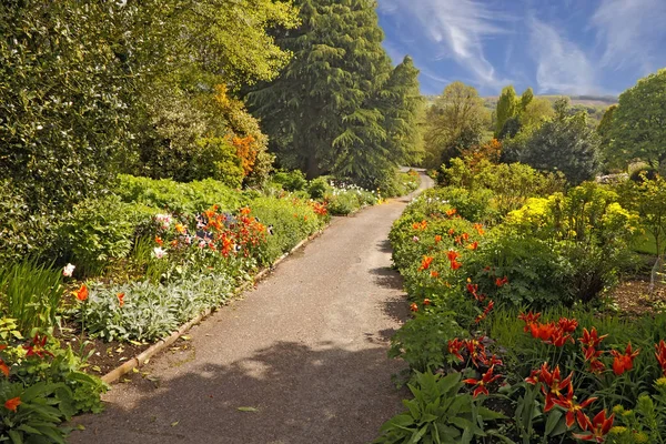 Frontiere Miste Della Tarda Primavera Lungo Sentiero Nel Giardino Dorothy — Foto Stock