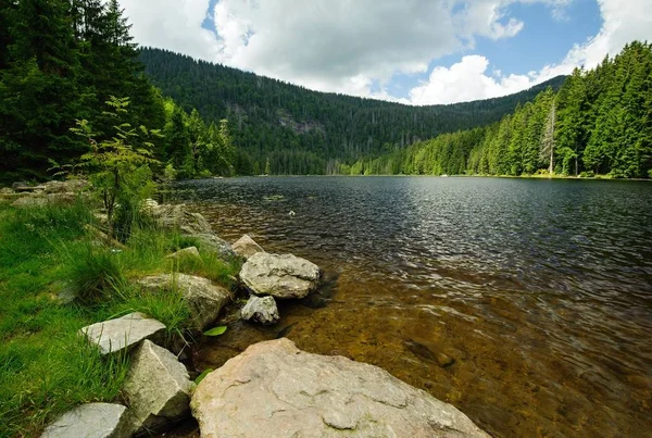 Lake Sumava Ormanları Ortasında Taşlarla — Stok fotoğraf