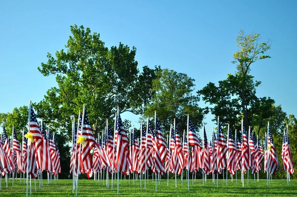 Bandiere Americane Tutte Fila — Foto Stock
