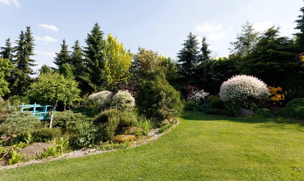 Colorato Giardino Primaverile Alla Luce Del Sole Serale Primavera Concetto — Foto Stock