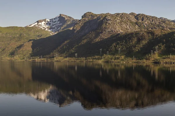 Viñedo Argentina Con Telón Fondo Montaña —  Fotos de Stock