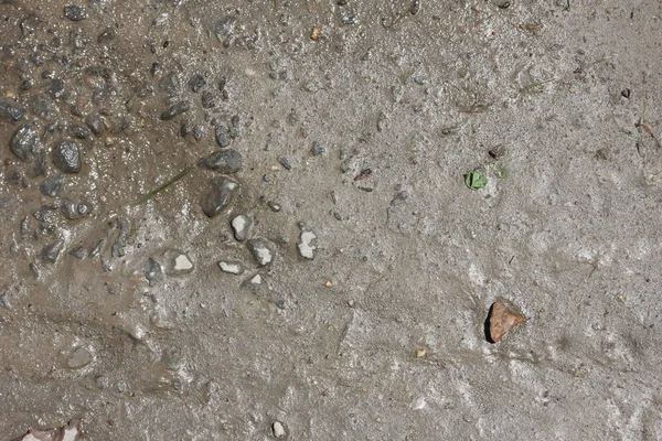 자갈과 바위와 웅덩이 — 스톡 사진