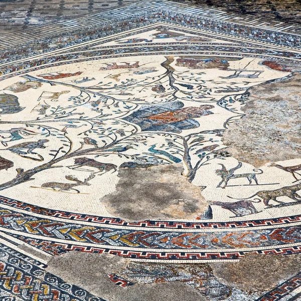 Eski Şehir Fas Taki Çatı Mozaiği Tarih Seyahati — Stok fotoğraf