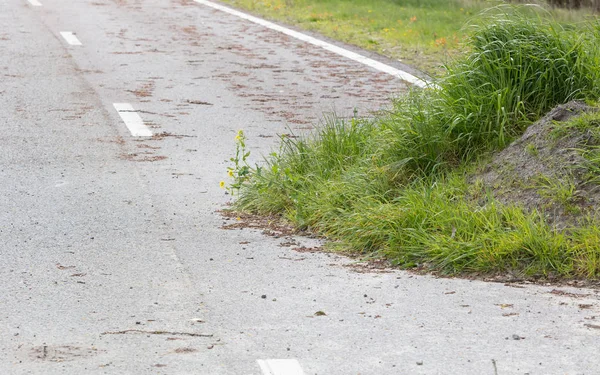 Carretera Abandonada Los Países Bajos Que Utiliza Durante Mucho Tiempo —  Fotos de Stock
