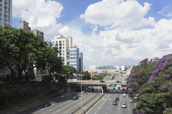 Sao Paulo Brazylia Ameryka Południowa — Zdjęcie stockowe