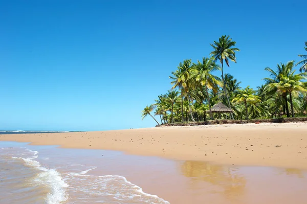 Paradise Beach Marau Peninsula Bahia State Brasil — Fotografia de Stock