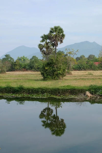 Campo Paesaggio Vintage Thailandia — Foto Stock