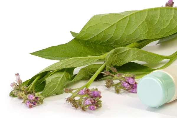 Tubo Cerrado Con Plantas Consuelda Sobre Fondo Brillante — Foto de Stock