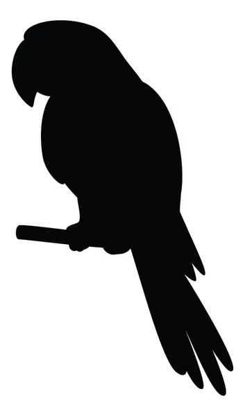 Розумний Розмовний Папуга Сидить Дерев Яному Стовпі Чорний Силует Білому — стокове фото