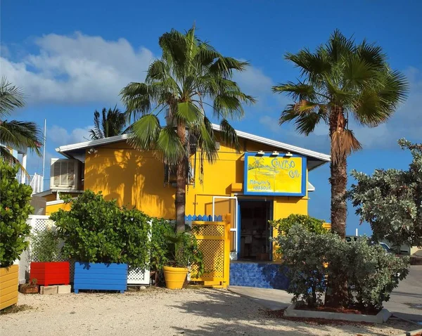 Restaurante Caribenho Cores Vivas Ilha Grand Cayman — Fotografia de Stock