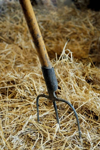 Close Ancinho Agitando Feno — Fotografia de Stock