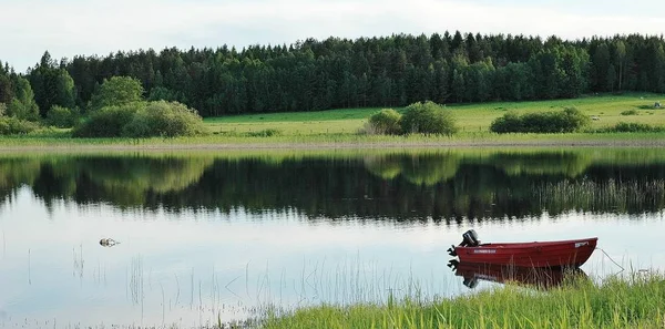 Paesaggio Con Fiume Una Casa Nella Foresta — Foto Stock