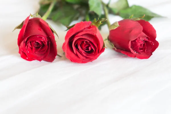 Zbliżenie Czerwona Róża Białym Tle Łóżka Miłość Romantyczne Uczucie Koncepcja — Zdjęcie stockowe