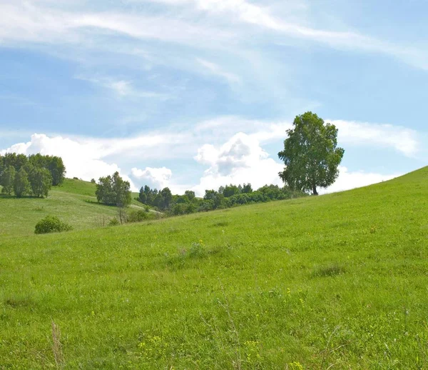 Hermoso Paisaje Verano Vista —  Fotos de Stock