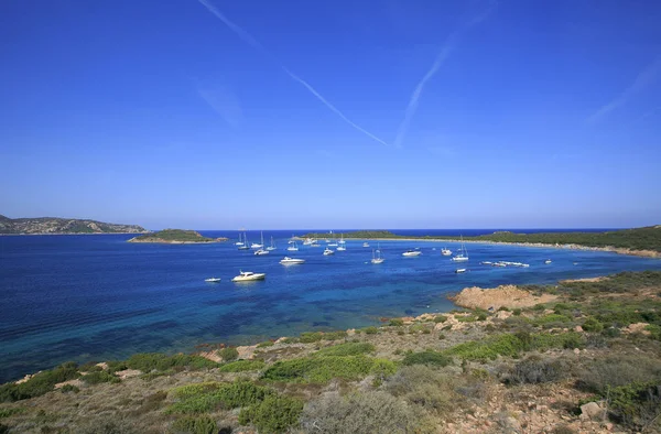 Geweldig Strand Gevestigd Sardinië — Stockfoto