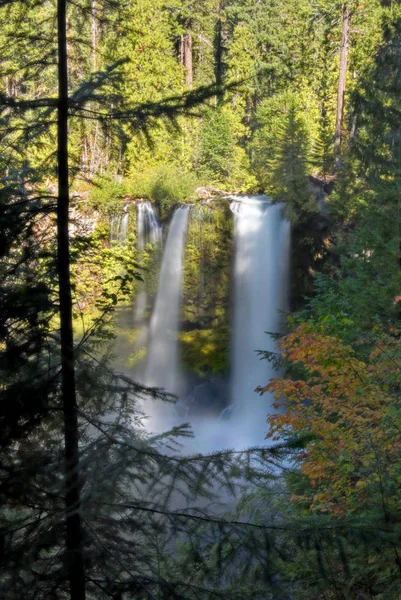 Image Verticale Cascade Koosah Oregon Encadrée Par Feuillage Automnal — Photo