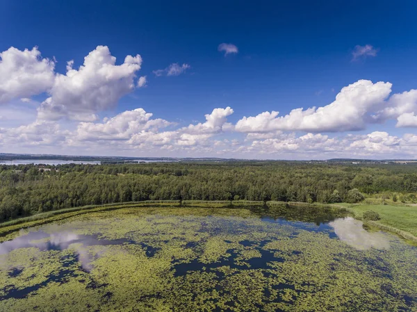 Летнее Время Озеро Зеленый Лес Белые Облака Над Голубым Небом — стоковое фото