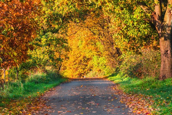 Autopista Sol Otoño Velbert Alemania —  Fotos de Stock