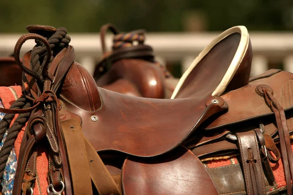 Western Bridle Bit Saddle Resting Horses Back — Zdjęcie stockowe