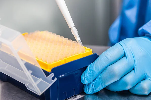 Scientist Attaching Disposable Tip Micropipette — Stock Photo, Image