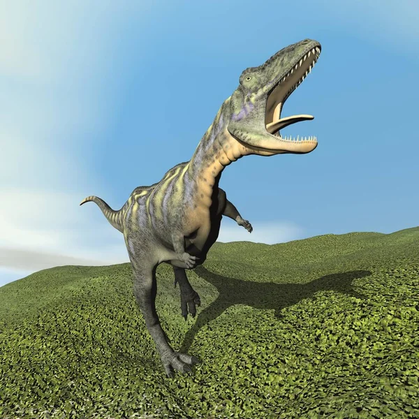 Dinosaurio Aucasaurus Rugiendo Mientras Camina Sobre Hierba Por Día Render — Foto de Stock