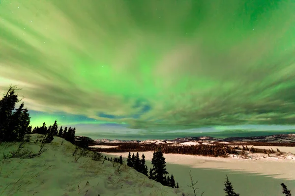 Light clouds and Northern Lights or Aurora borealis or polar lights on night sky over snowy winter landscape of Lake Laberge  Yukon Territory  Canada