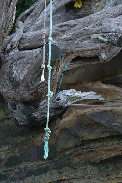 Swing Rope Hanging Tree Rocks Beach — Stock Photo, Image