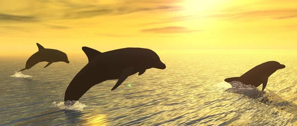 Ілюстрація Показує Деякі Дельфіни Грають Заході Сонця — стокове фото