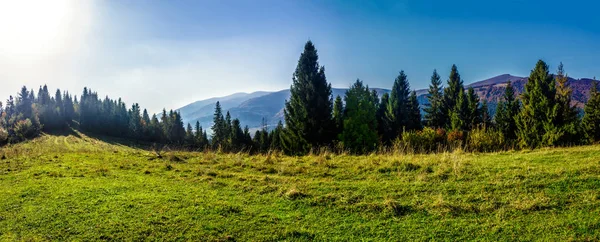 Paisaje Otoño Las Montañas Bosque Abetos Prado Ladera —  Fotos de Stock