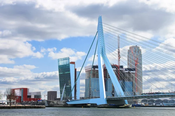 Γέφυρα Erasmus Στο Ρότερνταμ Ολλανδία — Φωτογραφία Αρχείου