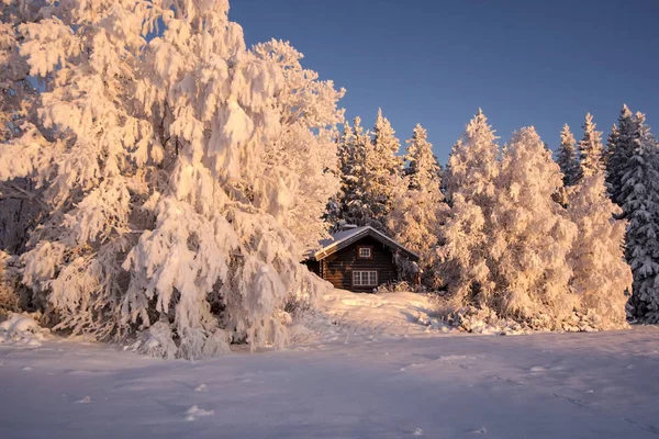 Vackra Vinterlandskap Sverige — Stockfoto