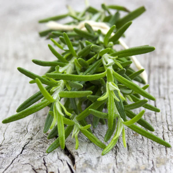 Rozmaryn Świeży Rosmarinus Officinalis — Zdjęcie stockowe