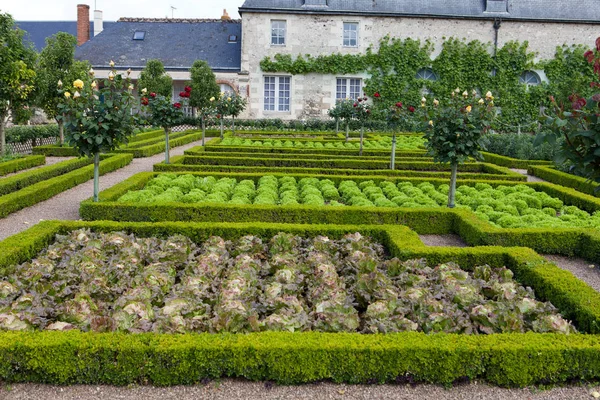 Ogrody Pałac Villandry Dolinie Loary Francji — Zdjęcie stockowe