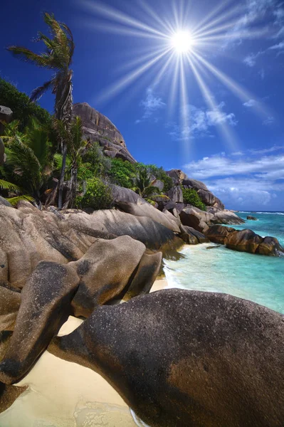 Hermosa Costa Grandes Rocas Palmeras Largo Una Playa Agua Color — Foto de Stock