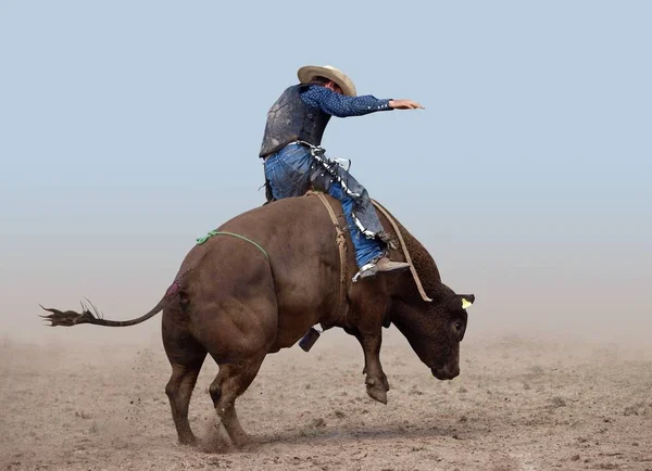 Bull Rider Sobre Fondo Claro —  Fotos de Stock