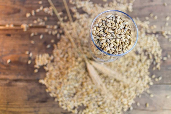 Vue Dessus Verre Pour Bière Artisanale Remplie Grains Malt Sur — Photo